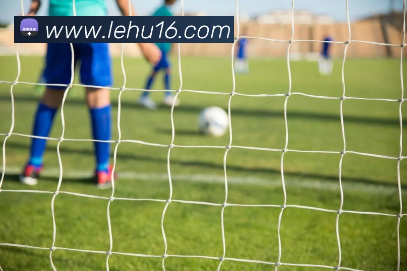 乐虎官网网站APP 高清赛事图